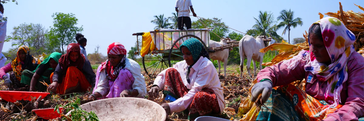 A Life Full Of Flavor